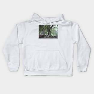 Back Forest Staffordshire. Peak District. Countryside Hiker landscape Kids Hoodie